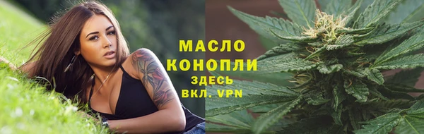 тгк Новодвинск