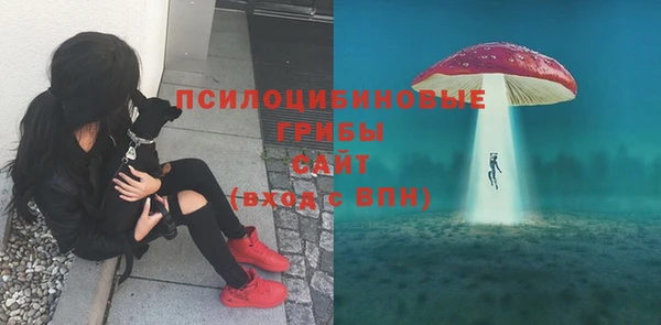 стафф Абинск