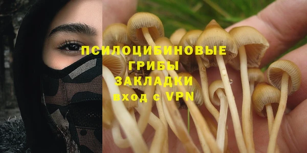стафф Абинск