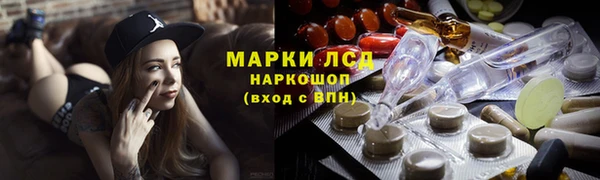 тгк Новодвинск
