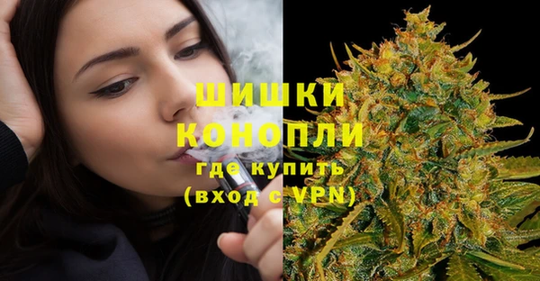 индика Новокубанск